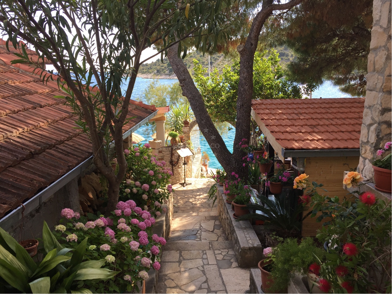Additional view of Konoba Lanterna restaurant in Restaurant in Sevid, Central Dalmatia, Croatia photo 5