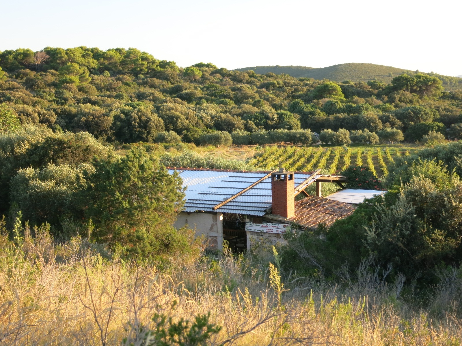 Grill station at Dionis Restaurant with views of the sea