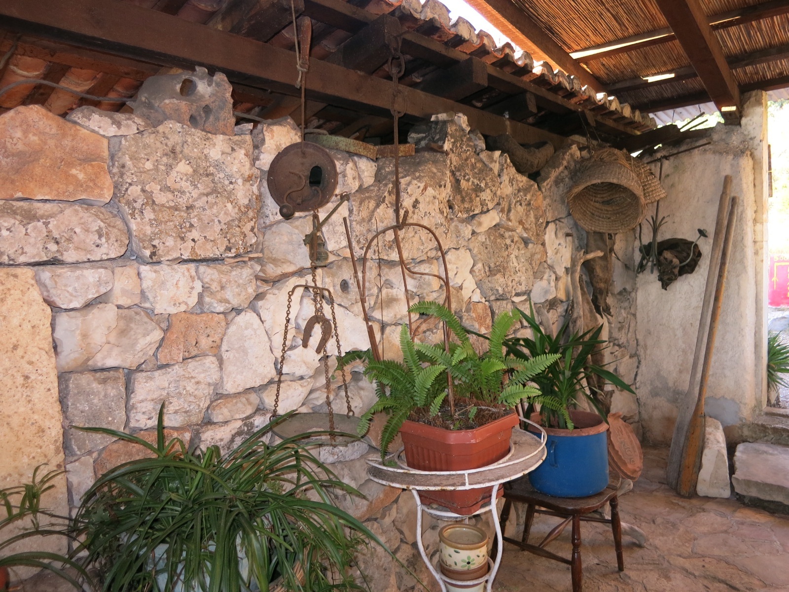 Traditional Dalmatian dishes served at Dionis Restaurant