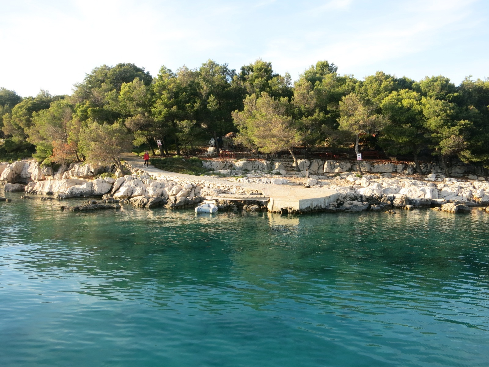 Pine forest surrounding Tijašćica Bay near Spirito Summer Place