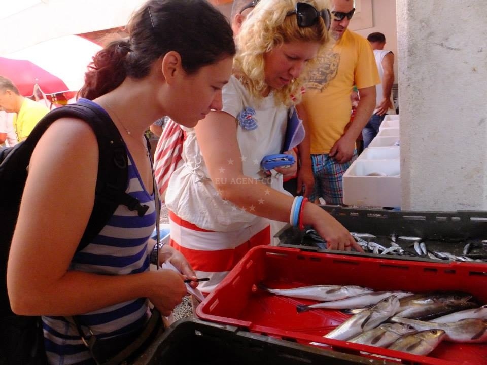 Cooking class in Trogir, Dalmatia, Croatia with local ingredients