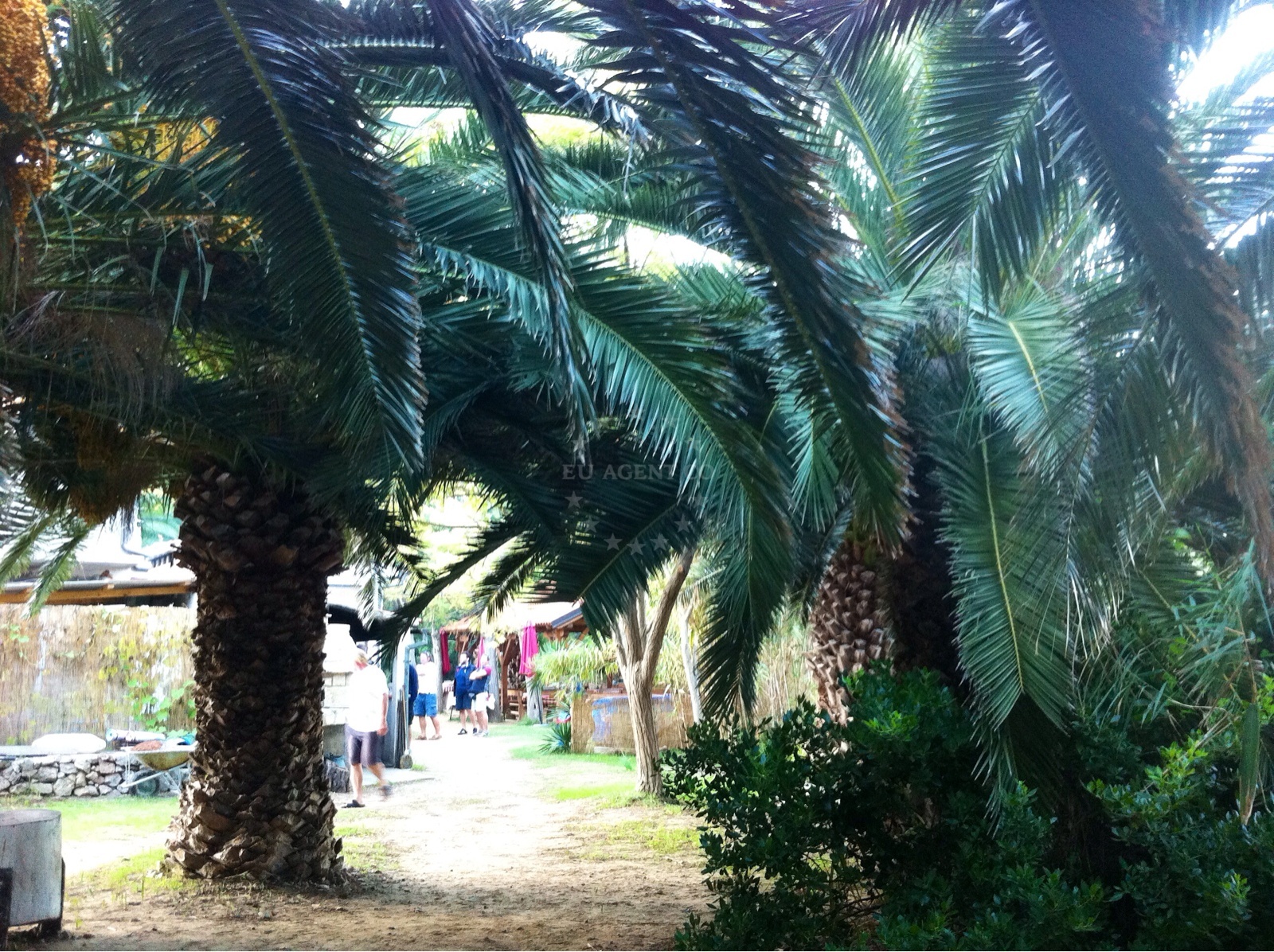 Additional view of Stončica restaurant in Restaurant in Vis on the island Vis, Central Dalmatia, Croatia photo 6
