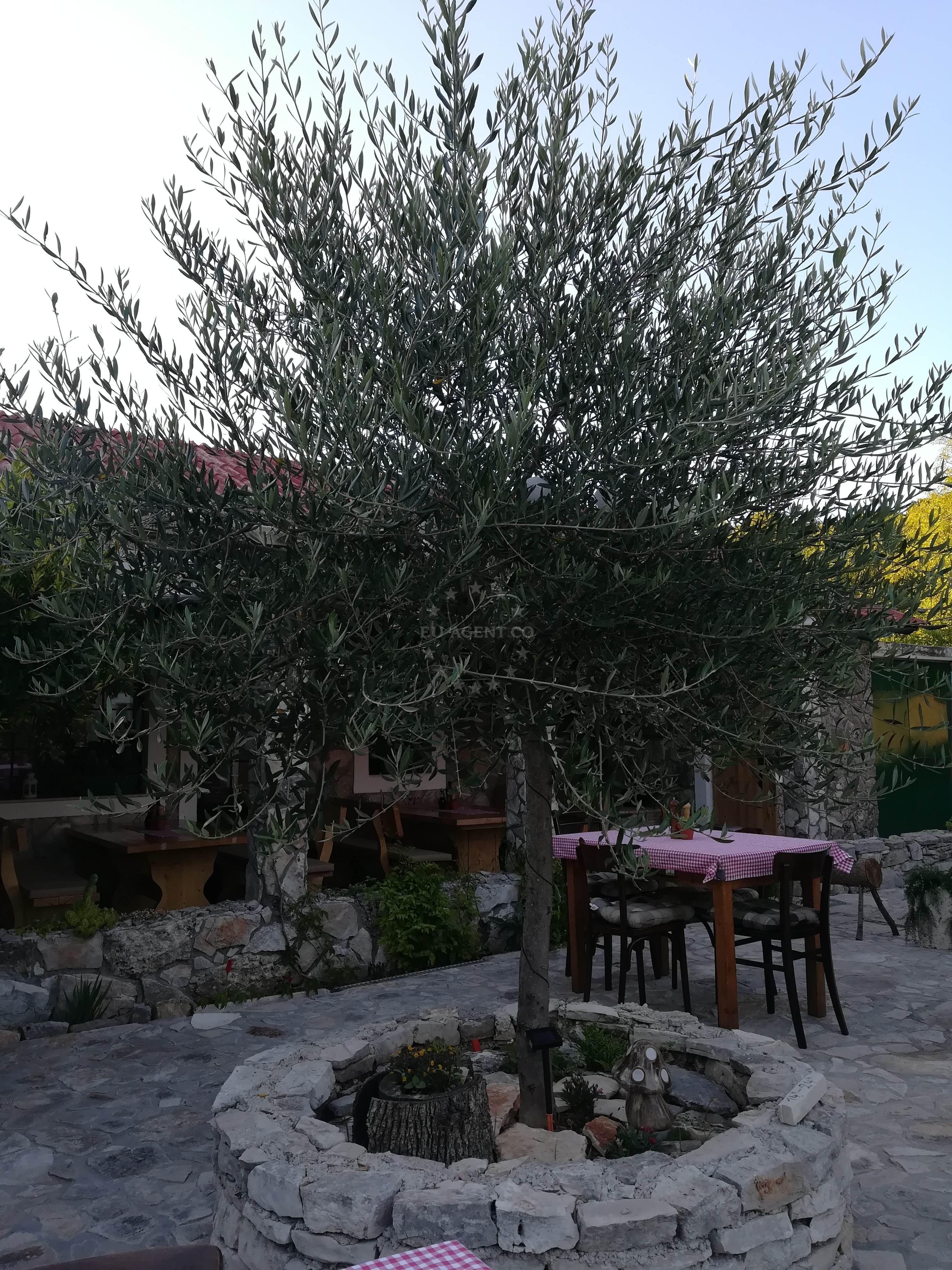 Konoba Prslika's outdoor seating area with a view of Zlarin's coastline
