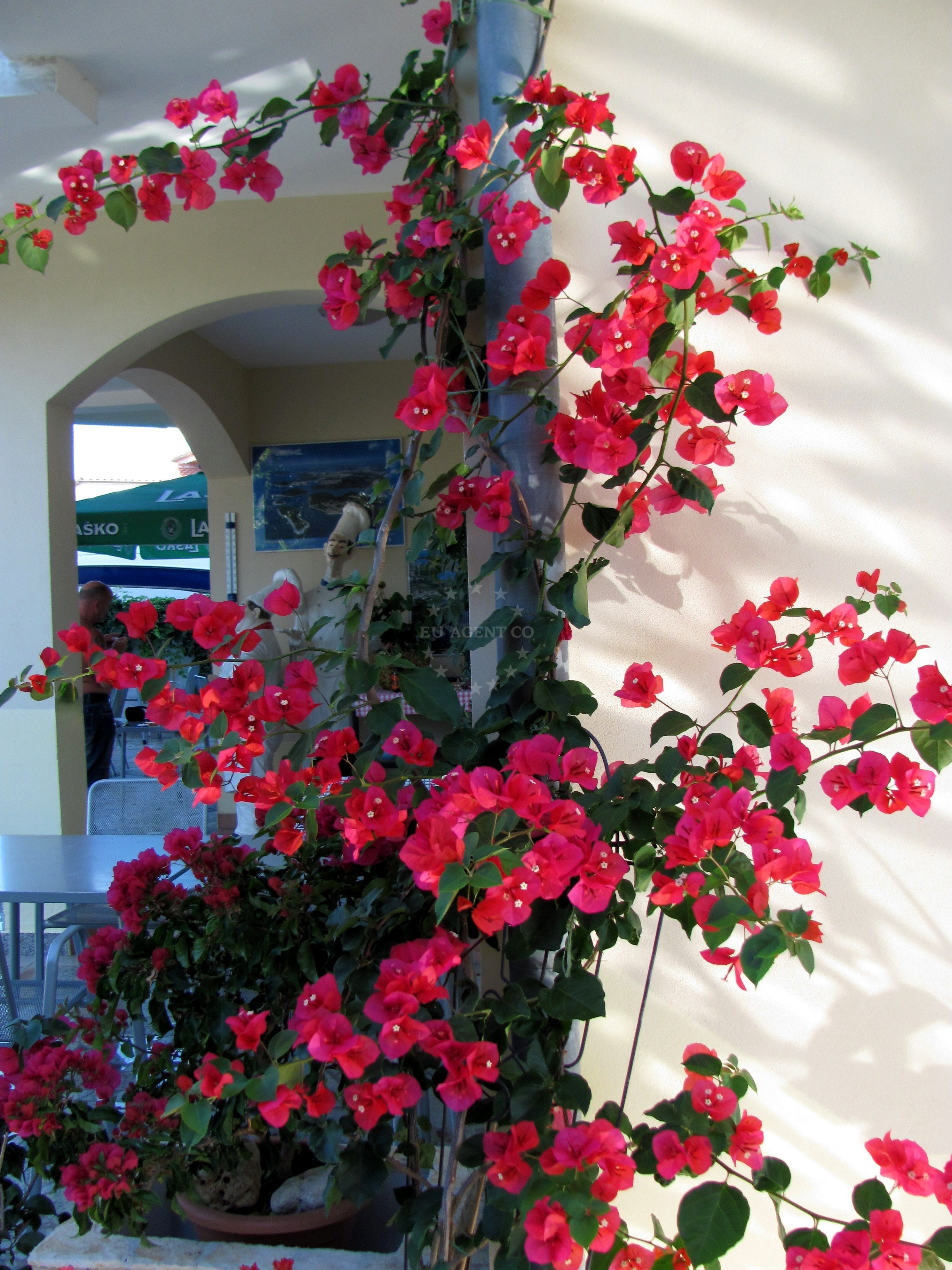 Additional view of Barka restaurant in Restaurant in Banjole, Istria and Kvarner, Croatia photo 8