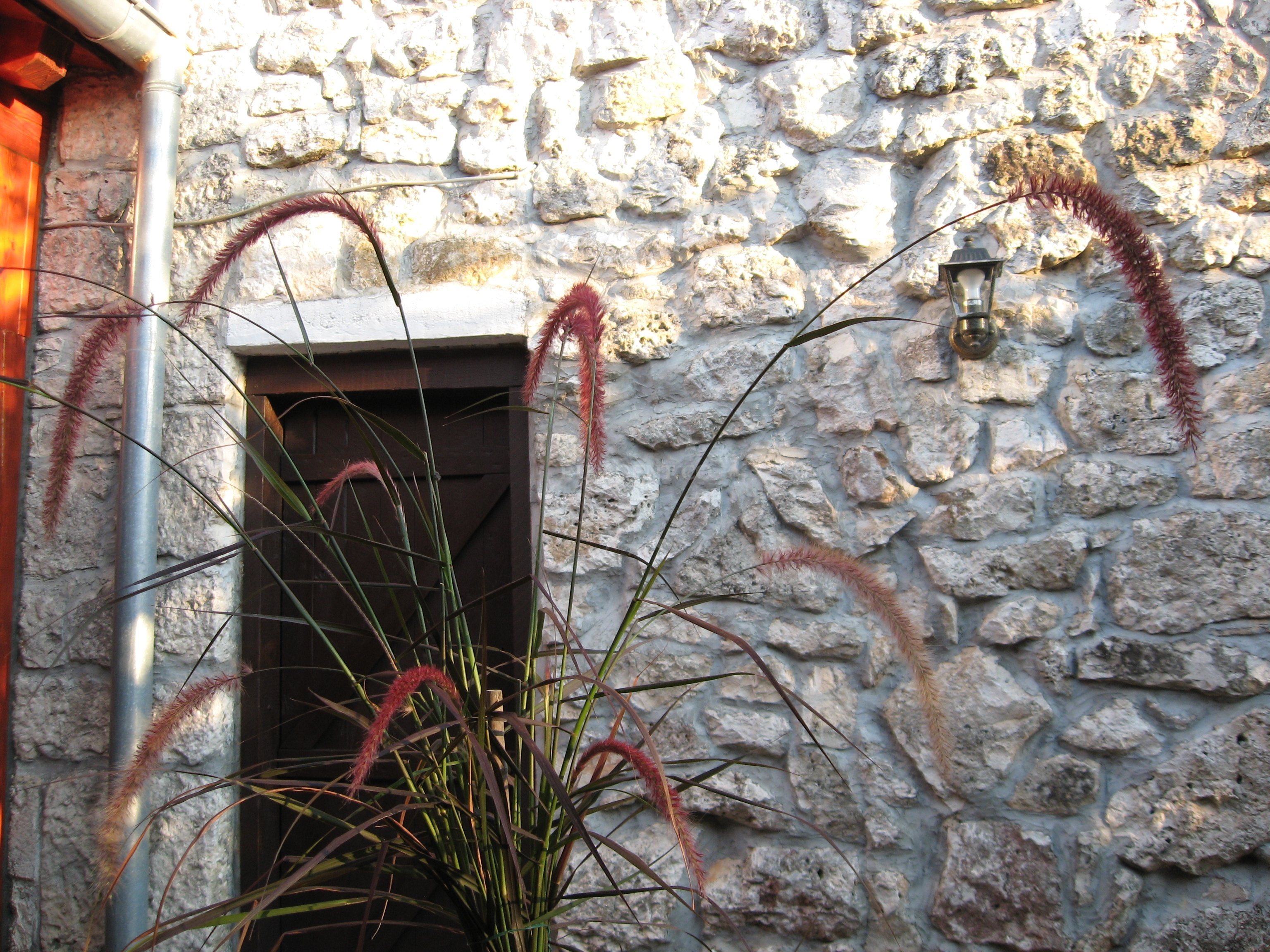 Traditional Istrian cuisine at Konoba Sidro restaurant