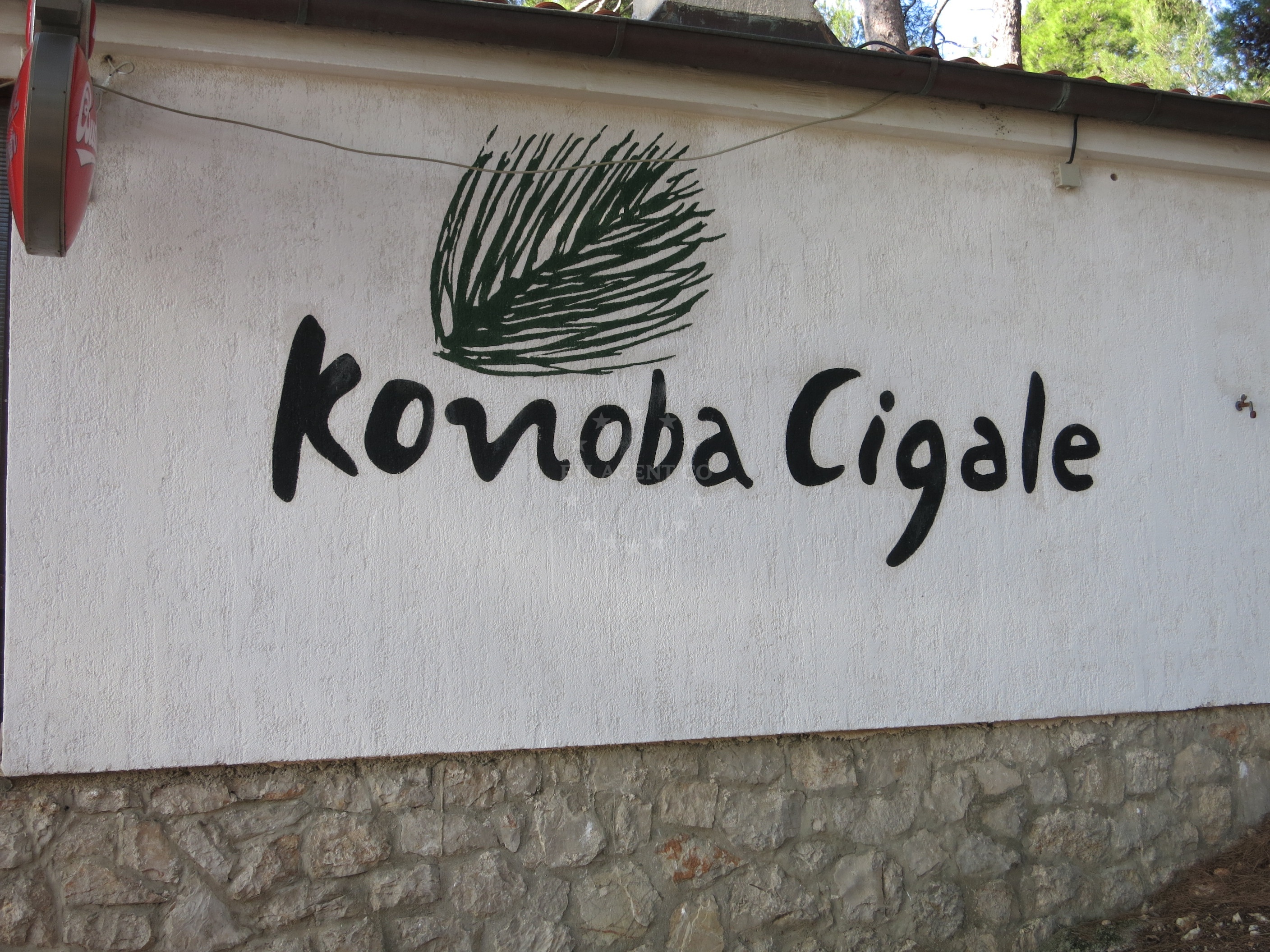 Konoba Cigale restaurant in a pinewood forest overlooking the Adriatic Sea