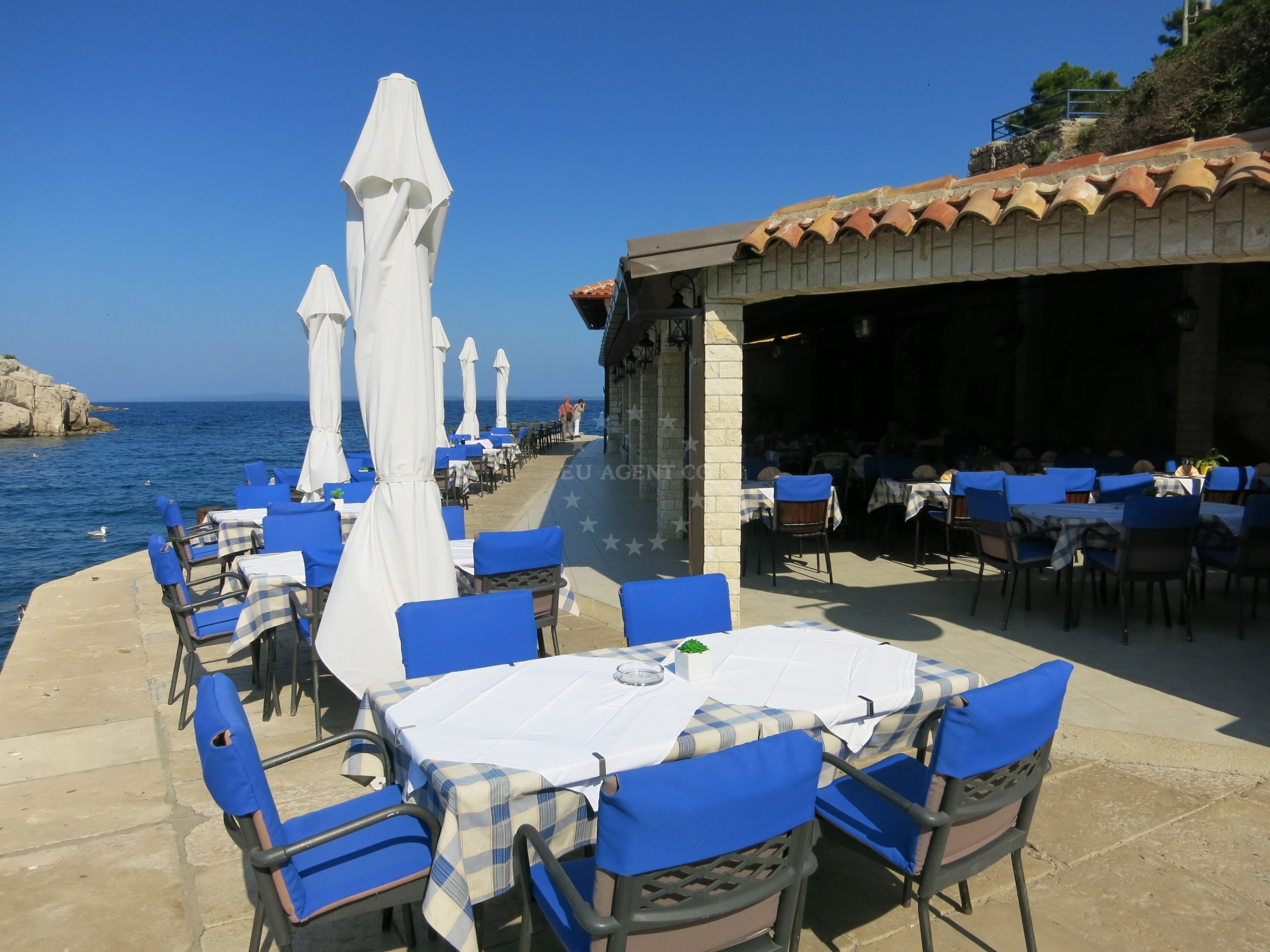 Open-fire grill at Ribarska Koliba Restaurant
