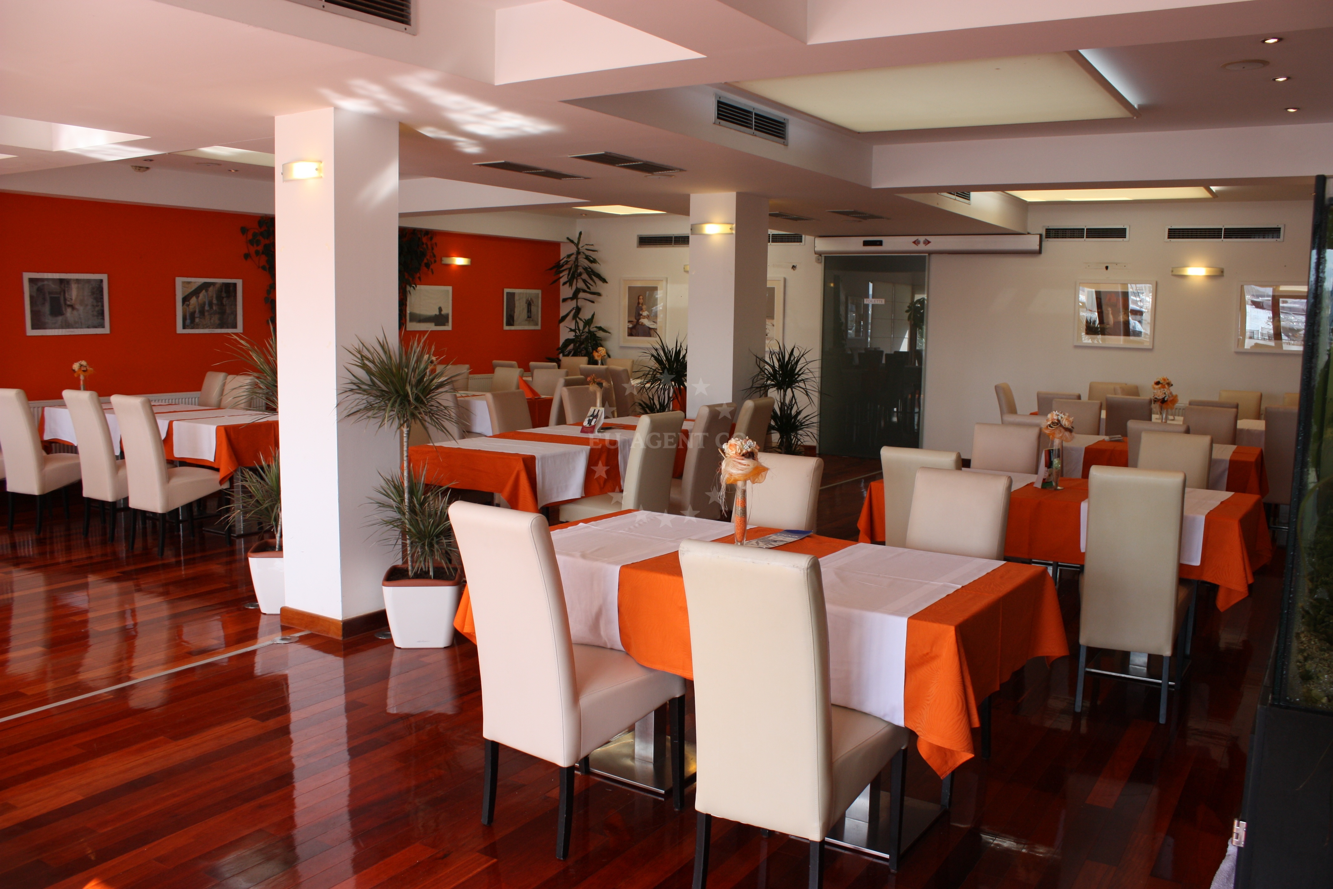 Croatian and Mediterranean cuisine at Ilirija Restaurant in Biograd na Moru