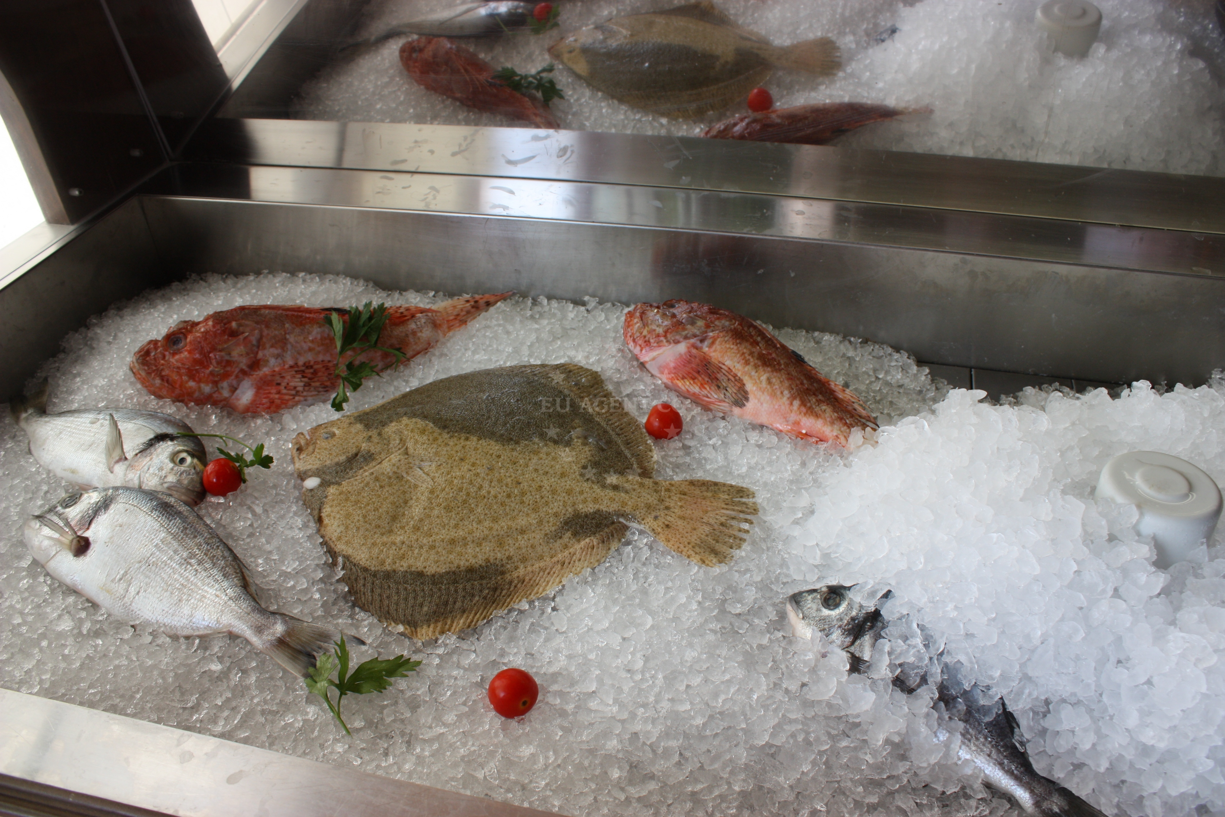 Additional view of Ilirija restaurant in Restaurant in Biograd na moru, North Dalmatia, Croatia photo 7