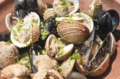Dalmatian cuisine at Konoba Bazilika, Biograd na moru