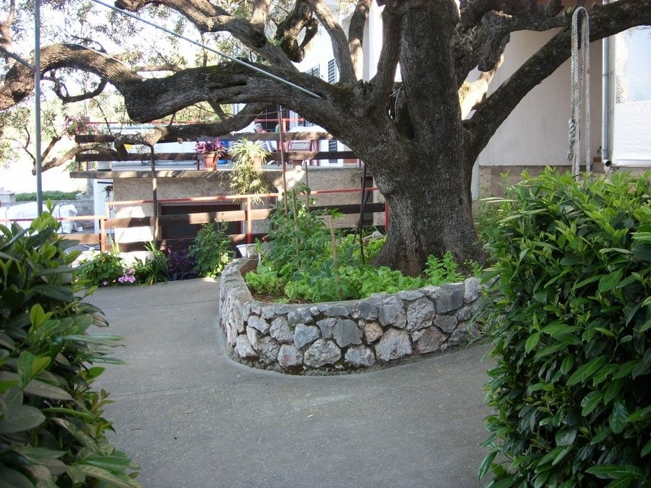 Alen Restaurant terrace with a 300-year-old olive tree and sea views