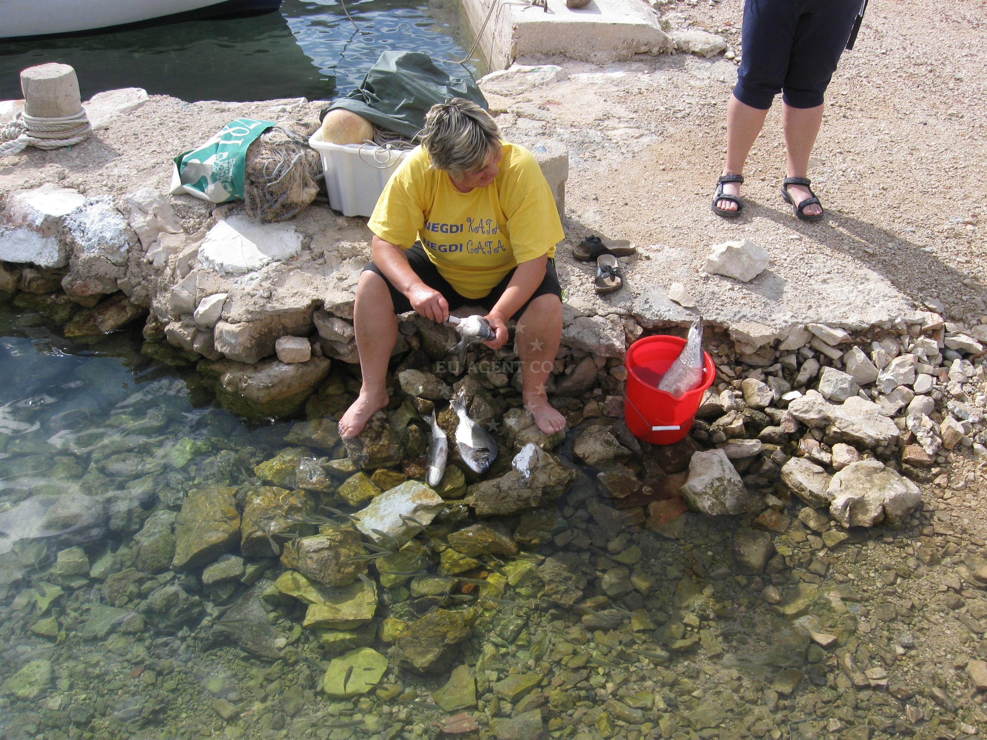 Fresh seafood and local dishes at Konoba Kate, Kaprije