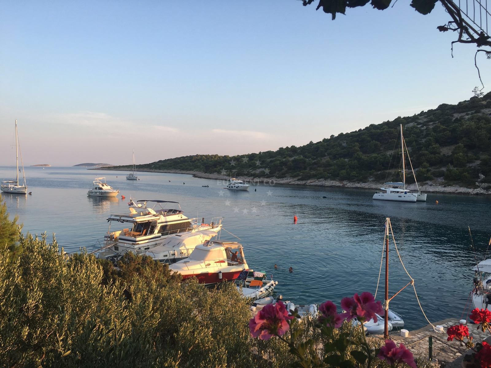 Additional view of Restaurant Capri in Restaurant on the island Kaprije, North Dalmatia, Croatia photo 12