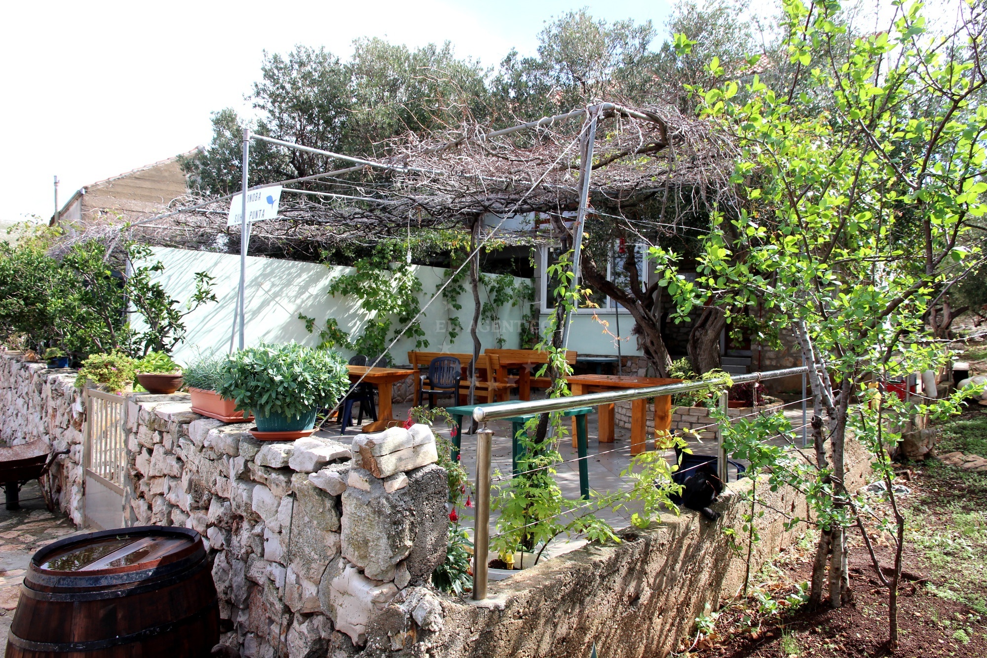 Fresh fish and seafood at Konoba Suha Punta, Kornat