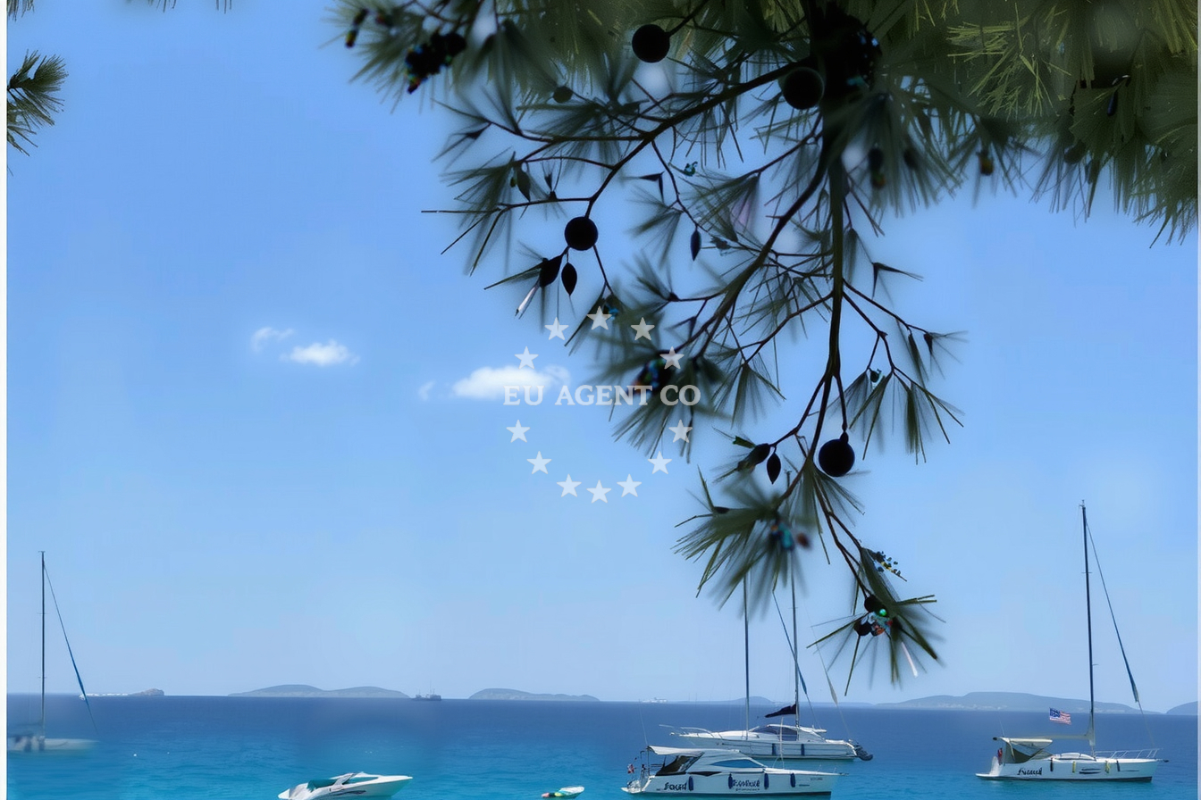 Additional view of Kalafat restaurant in Restaurant in Murter on the island Murter, North Dalmatia, Croatia photo 9