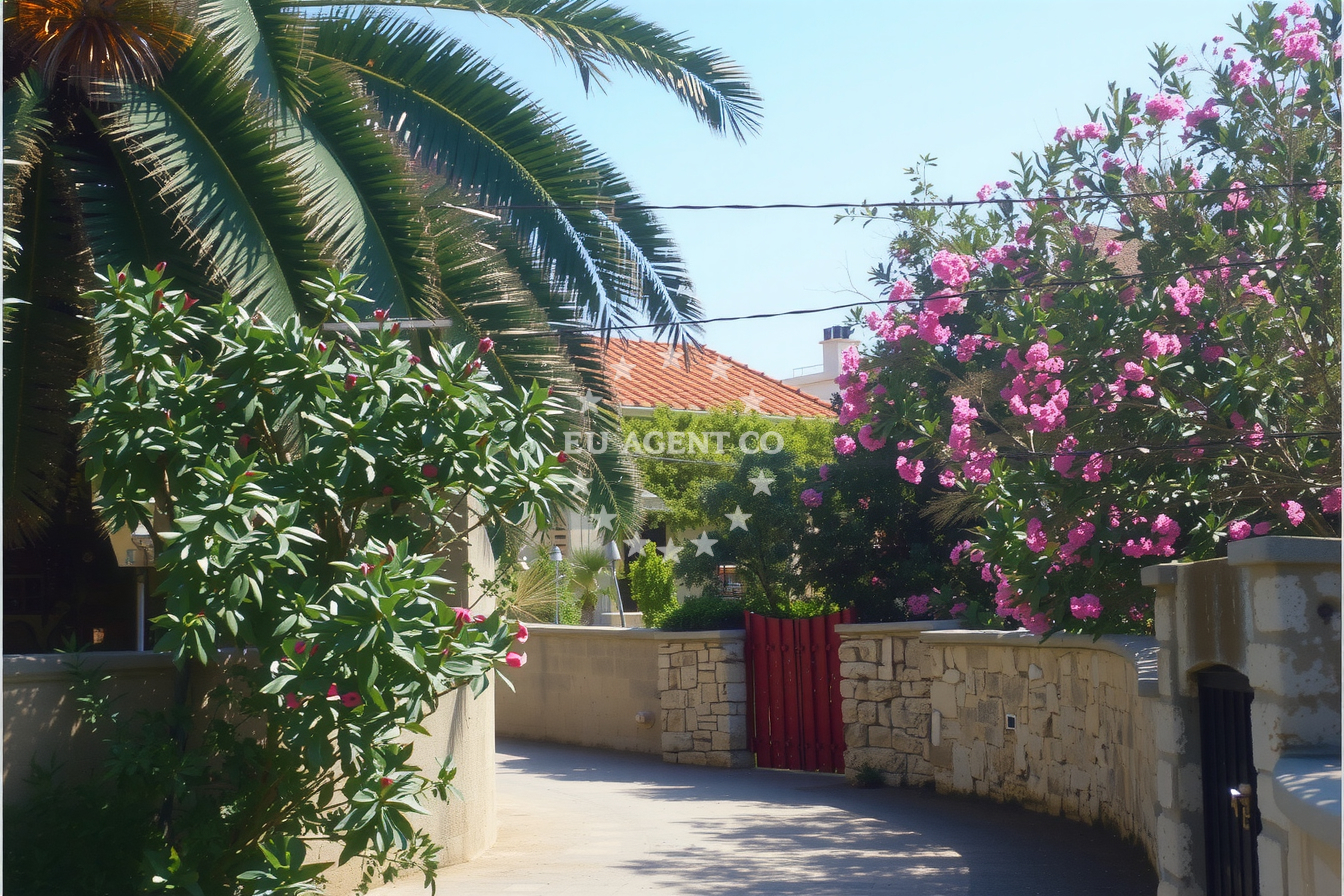 Additional view of Ivo restaurant in Restaurant in Silba on the island Silba, North Dalmatia, Croatia photo 8