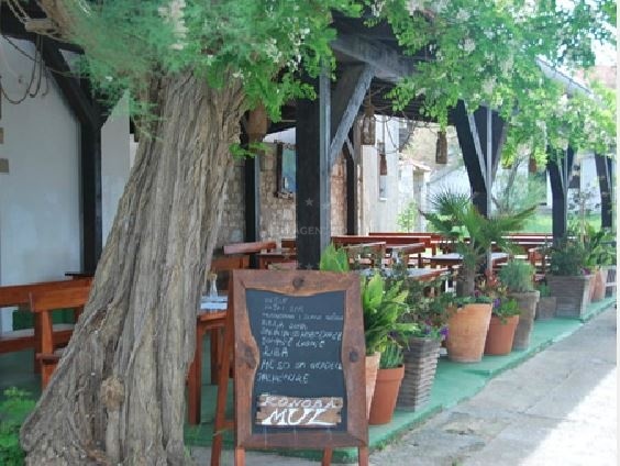 Silba Island shoreline near Mul Restaurant, North Dalmatia