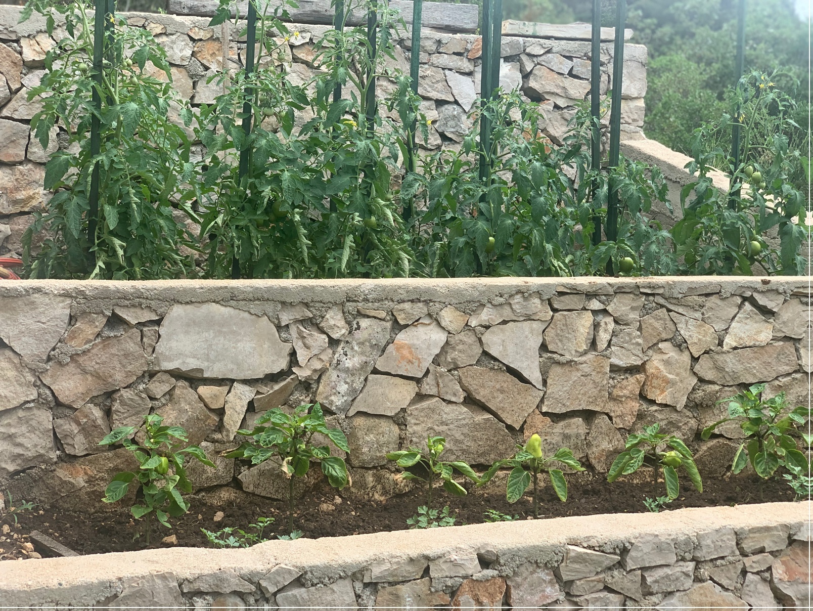 Additional view of Konoba Smokvić restaurant in Restaurant in Skradin, North Dalmatia, Croatia photo 12