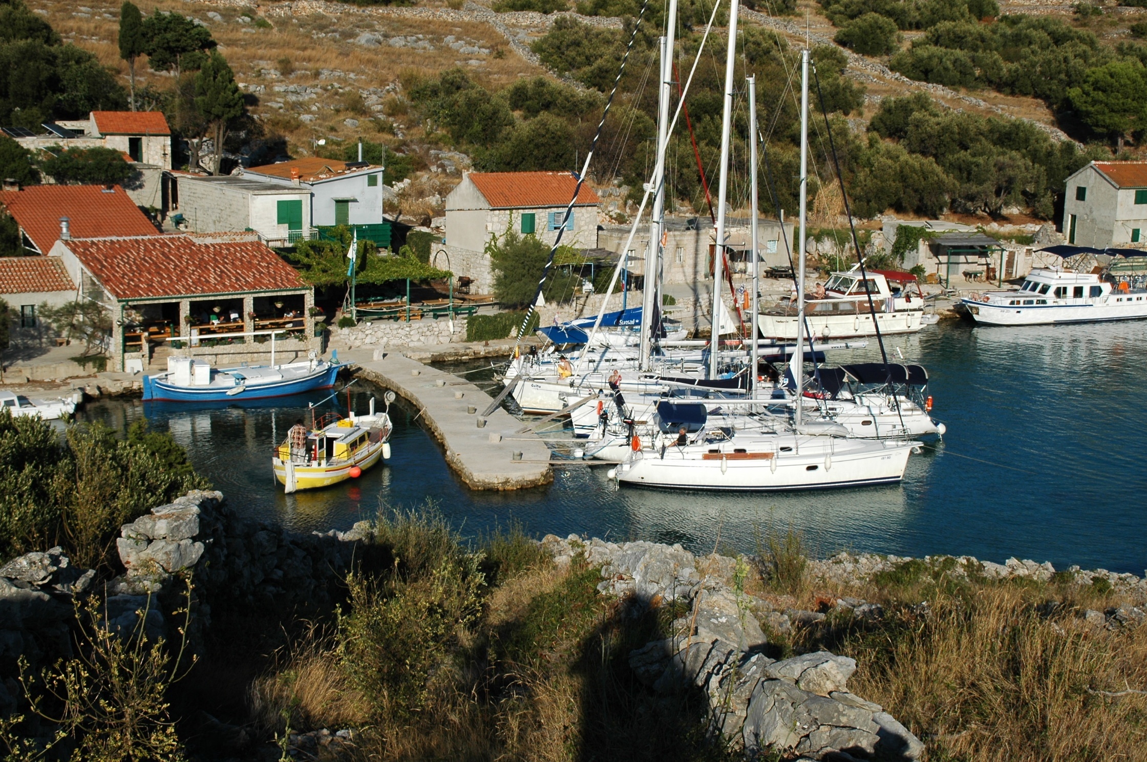 Fresh seafood preparation at Piccolo Restaurant, Smokvica Vela, Croatia