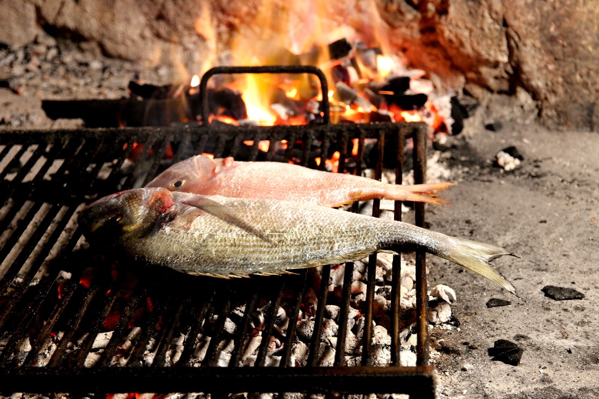 Traditional Dalmatian cuisine at Kod Guste, located near marinas and beaches