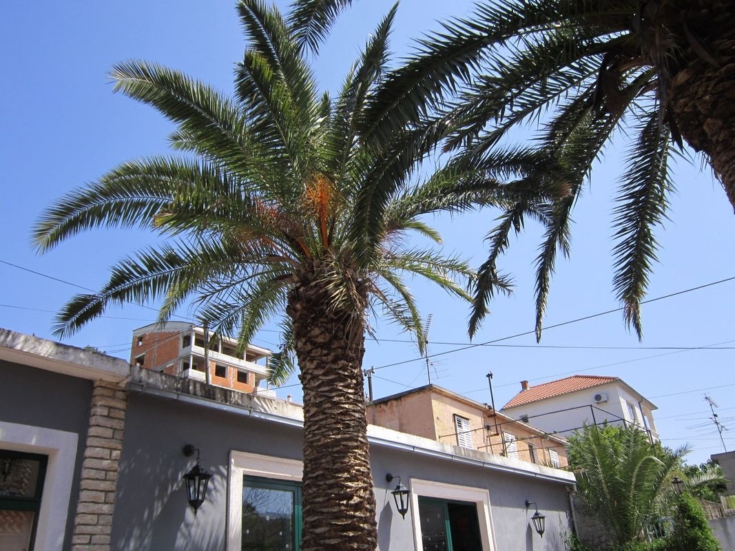 Local cuisine at Tereza Restaurant, Tisno, North Dalmatia