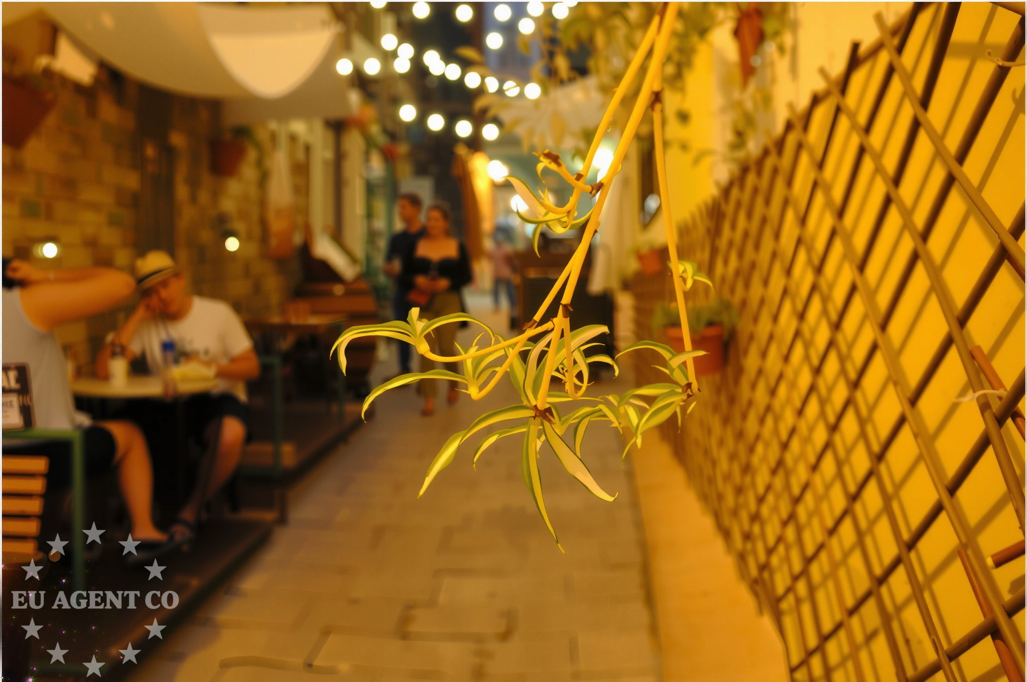 Additional view of Rico restaurant in Restaurant in Vodice, North Dalmatia, Croatia photo 8