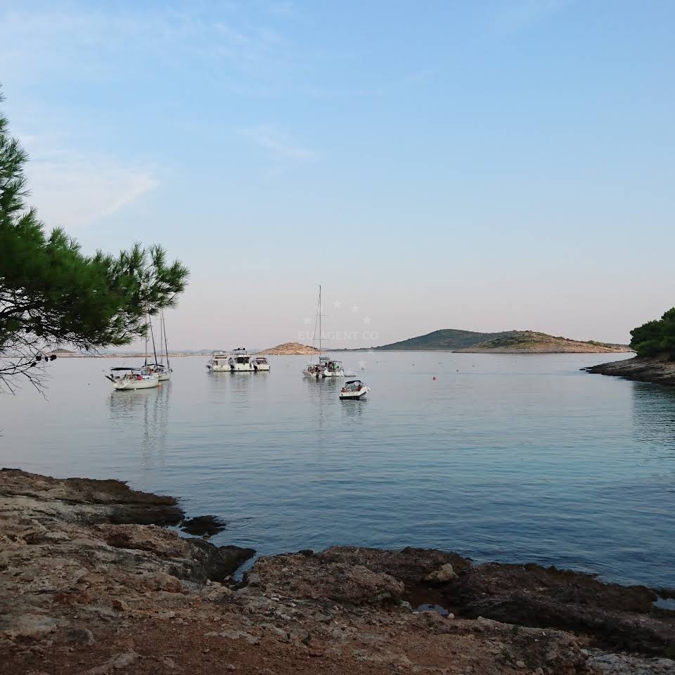 Pine forest surrounding u.o Lagani Restaurant on Vrgada Island
