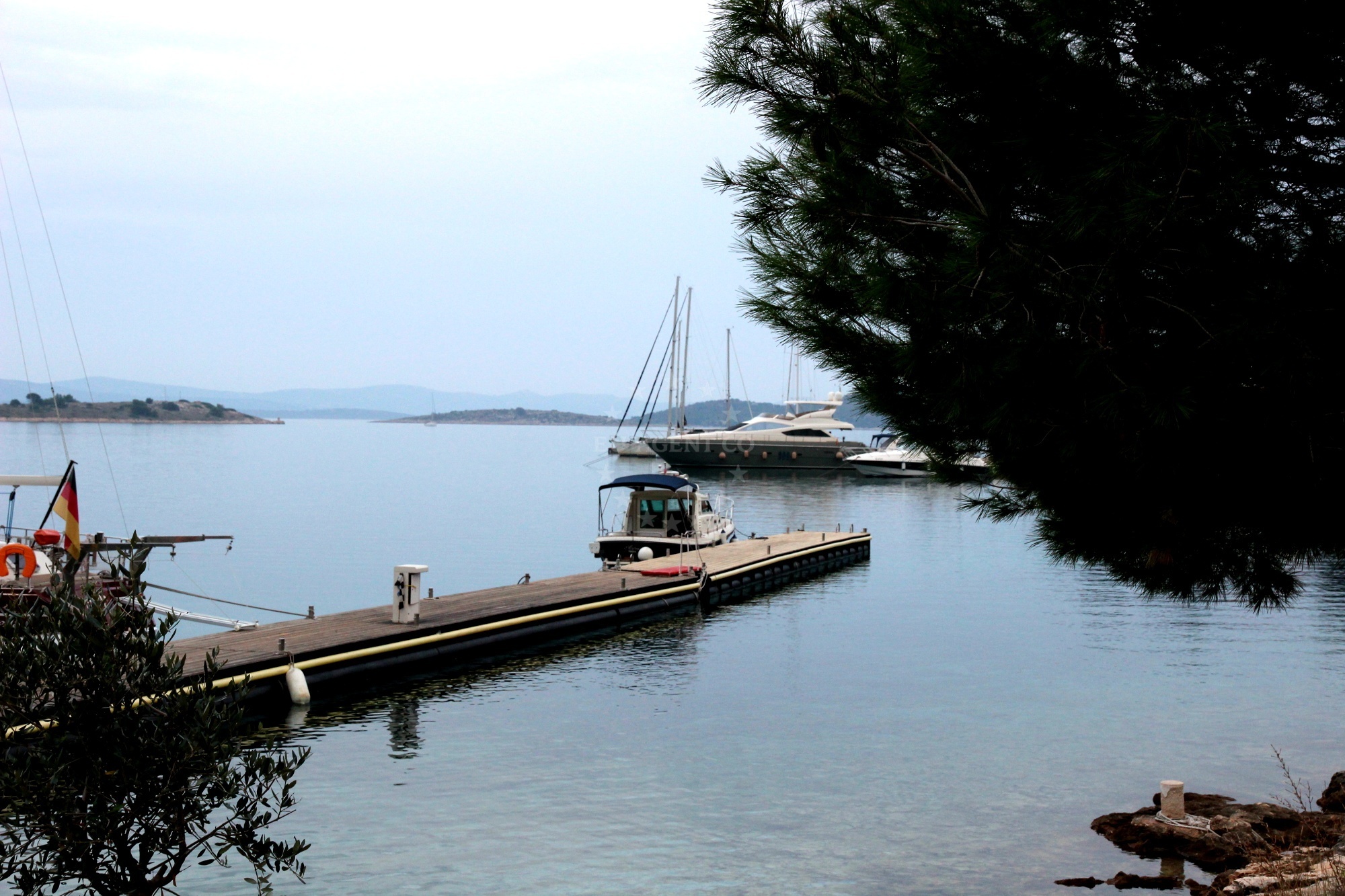 Fresh fish being prepared at Konoba Sandra on Žut Island