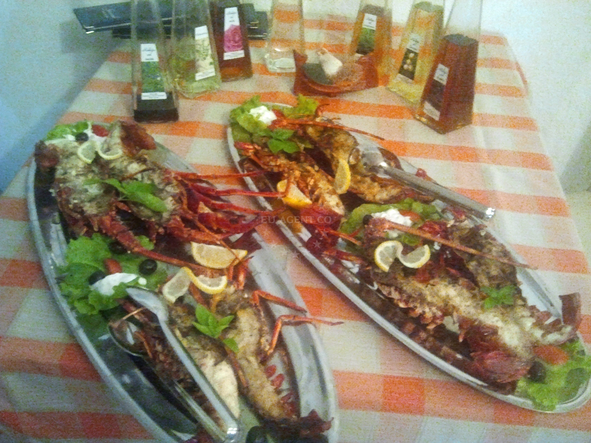 Additional view of Konoba Santor restaurant in Restaurant on the island Lastovo, South Dalmatia, Croatia photo 6