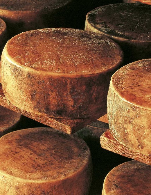 Pag cheese