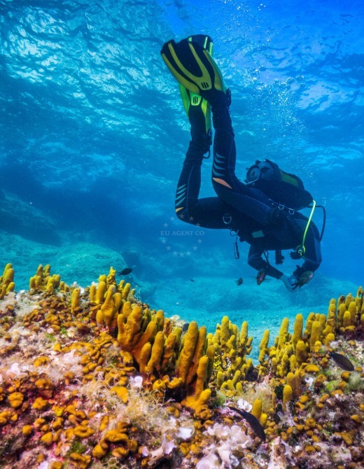 Diving, Hvar