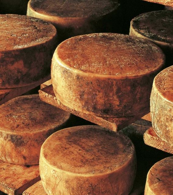 Delicatessen cheese variety in Croatia | EUAGENT