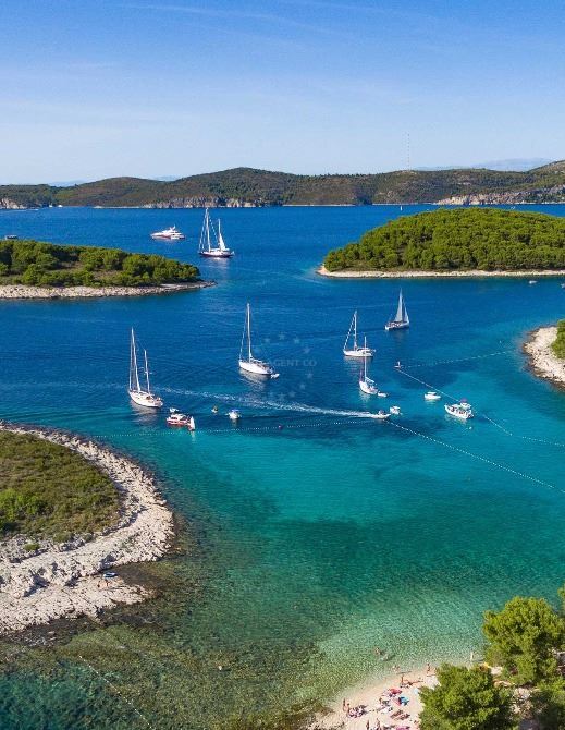 Discover the Croatian wine story | EUAGENT