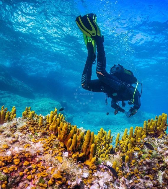 Diving, Hvar