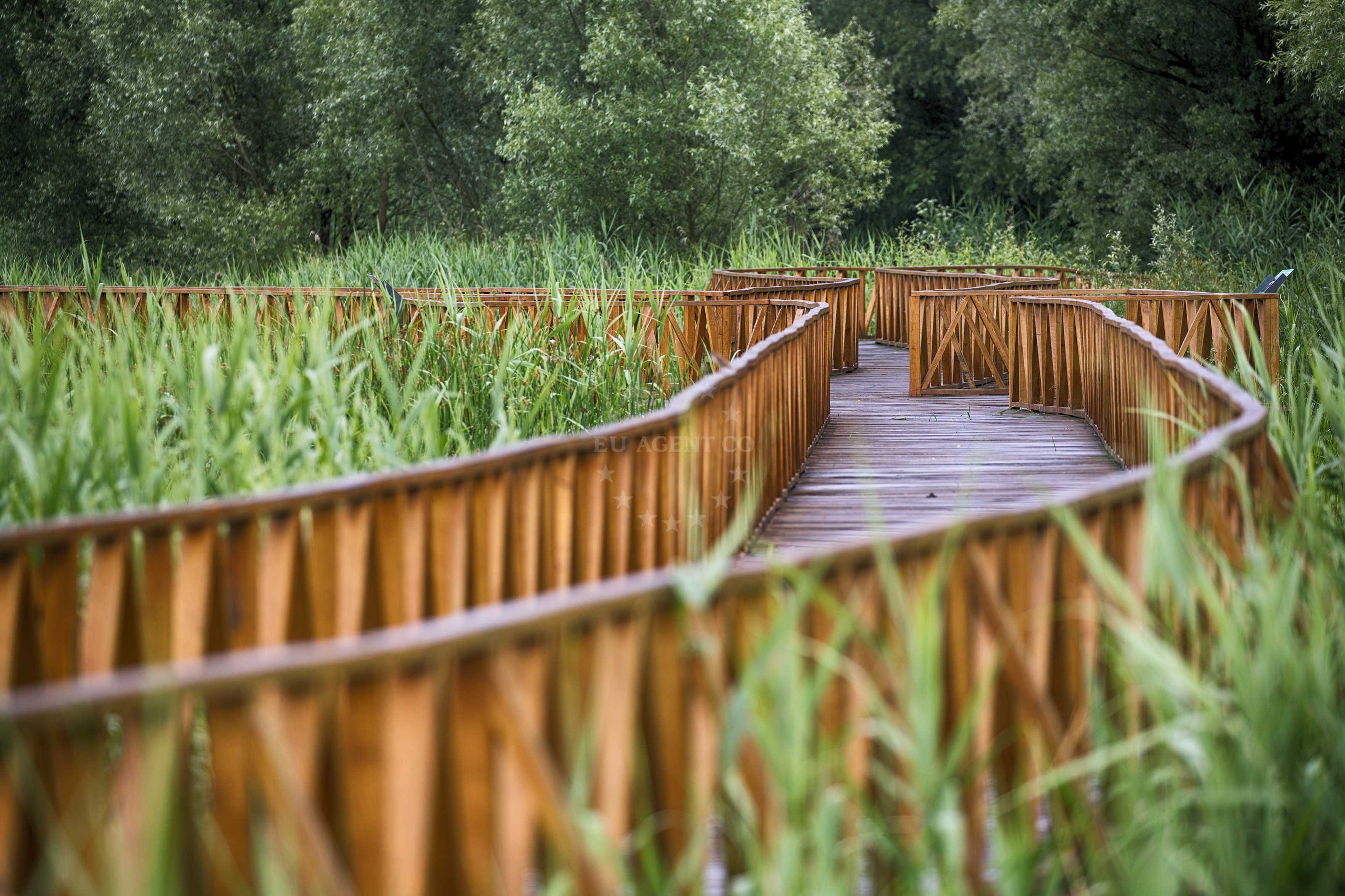 Kopački Rit Nature Park