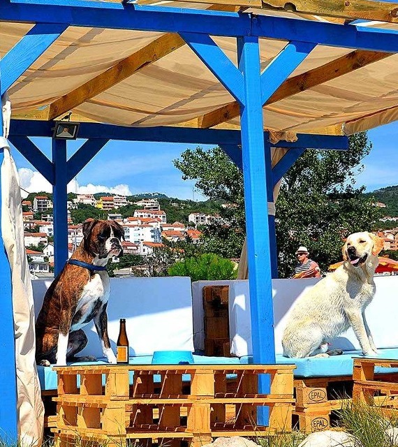 Monty's Dog Beach & Bar, Crikvenica