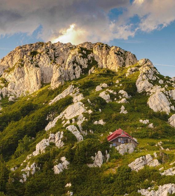 Risnjak