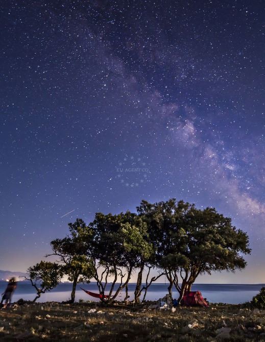 Camping night stars