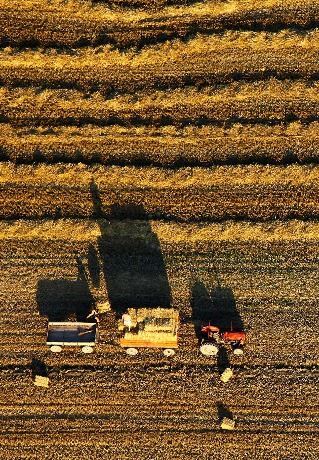 Slavonia