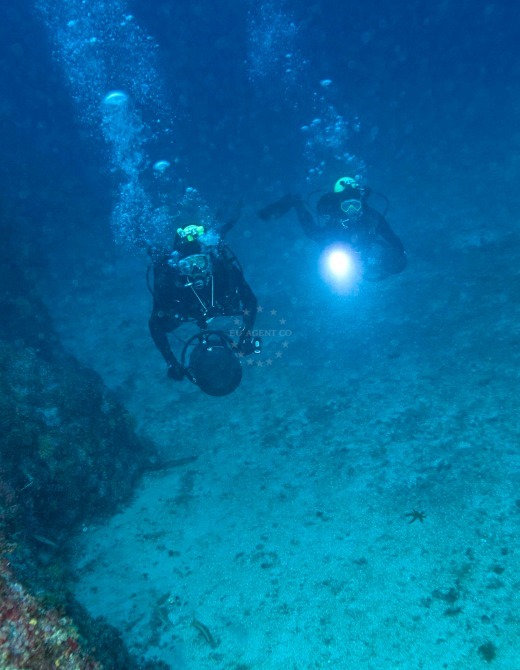 Diving, Adriatic Sea
