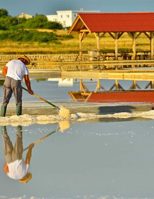 Dalmatian Salt - White Gold of the Adriatic | EUAGENT