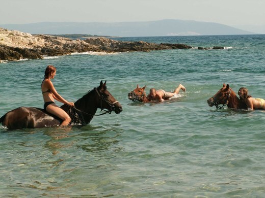EUAGENT | Samy`s ranch | EUAGENT