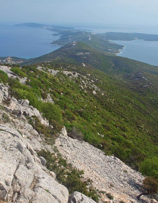 Osoršćica