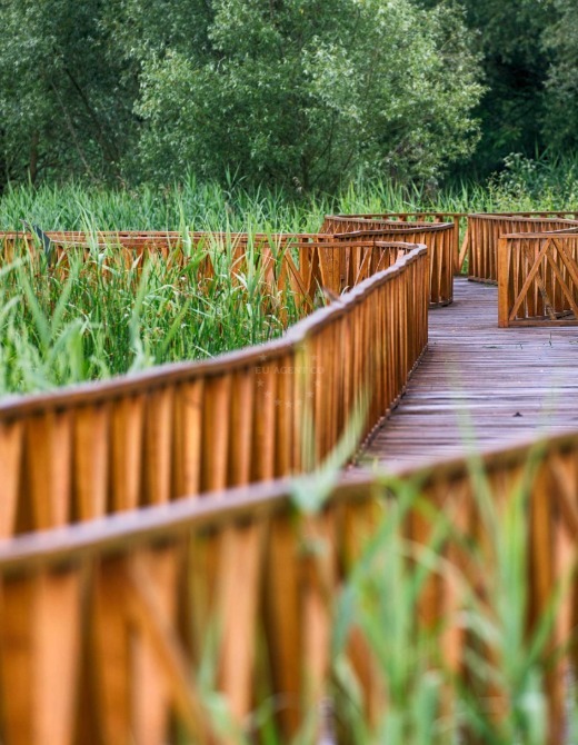 Kopački Rit Nature Park