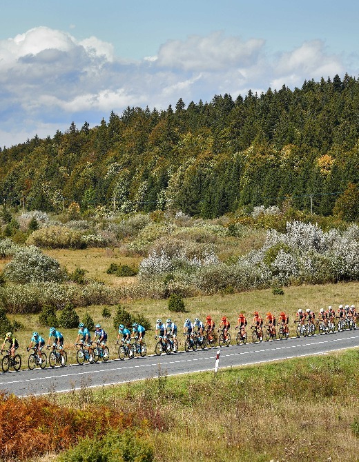 CRO Race