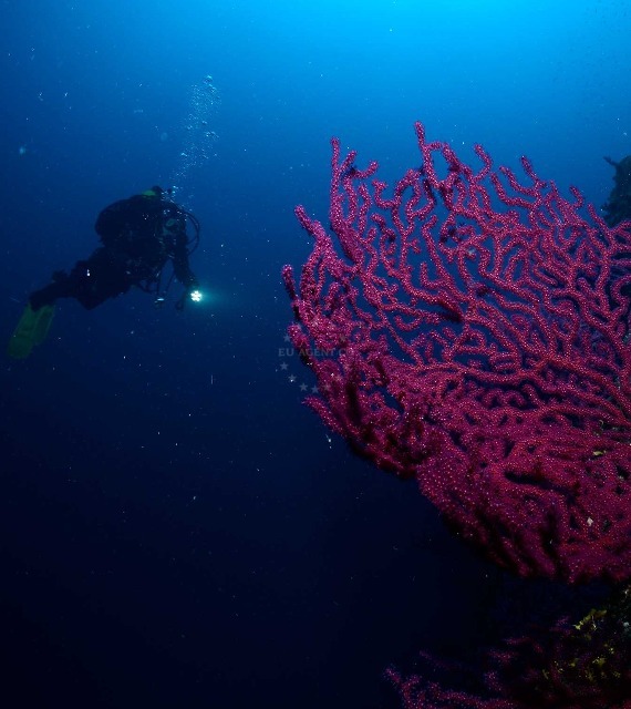 Diving in Croatia - Treasures of the Adriatic | EUAGENT