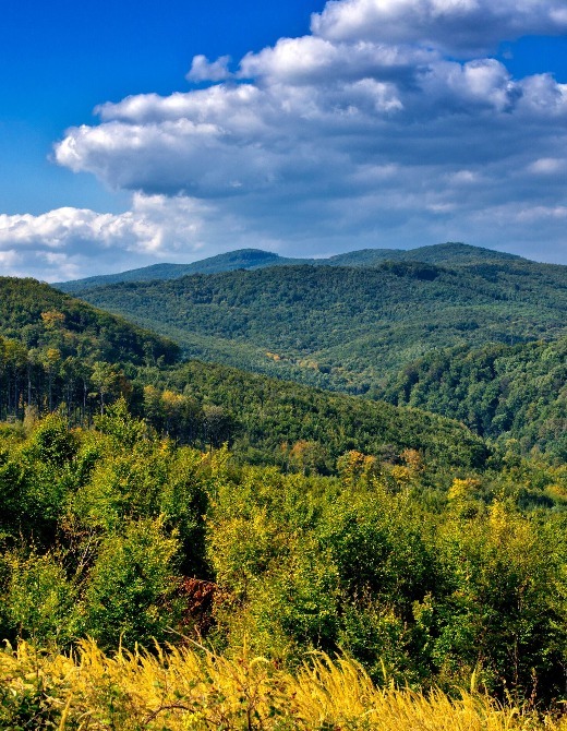 Tisovac, Ivacka glava