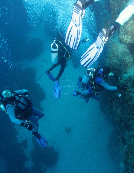 Diving, Mljet