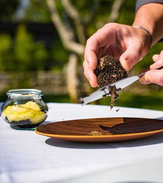 Truffles - Valuable food that grows in Istria | EUAGENT