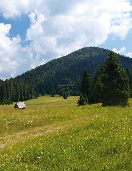 Hiking Risnjak and Snježnik | EUAGENT
